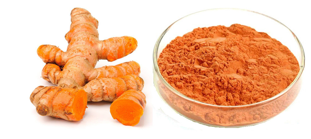 Curcumin 95%