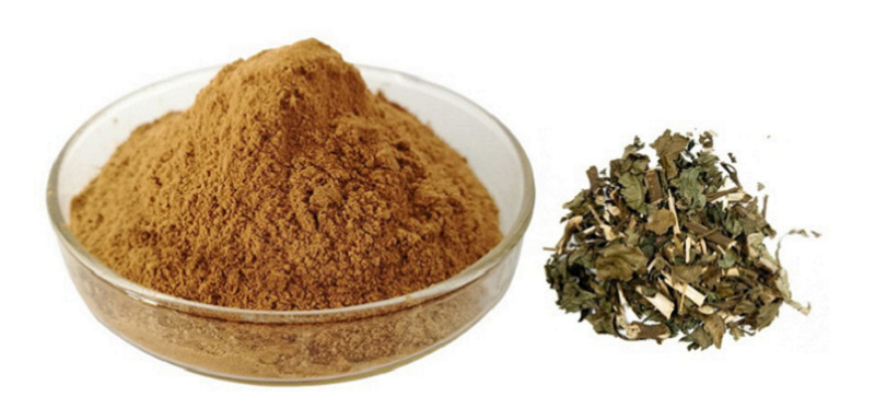 Motherwort Extract